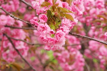南通崇川区1线下个人借款平台一站式服务，轻松解决资金难题
