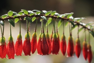 南通崇川区1零用贷短借：轻松解决临时资金需求