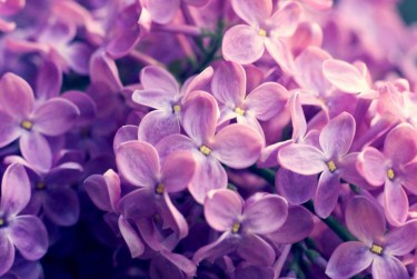 南通崇川区1企业急用钱贷款攻略：快速融资解燃眉之急